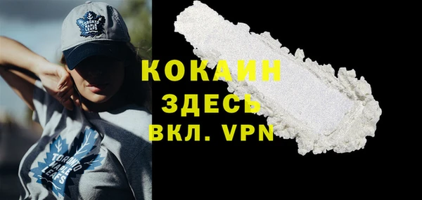 мяу мяу мука Аркадак