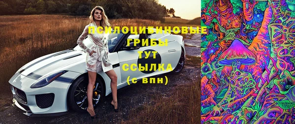 ПСИЛОЦИБИНОВЫЕ ГРИБЫ Армянск